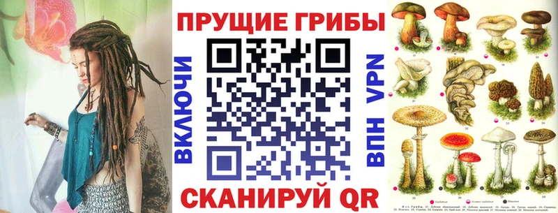 Галлюциногенные грибы Psilocybine cubensis  где купить наркоту  Малая Вишера 