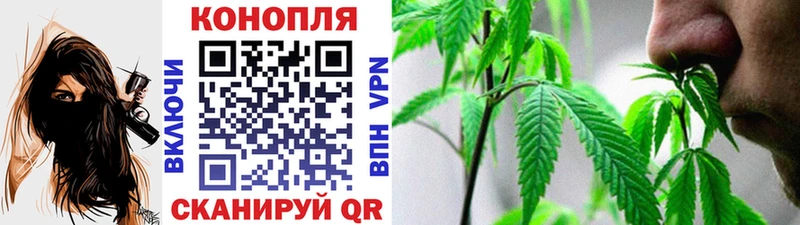 Канабис Ganja  купить наркоту  Малая Вишера 